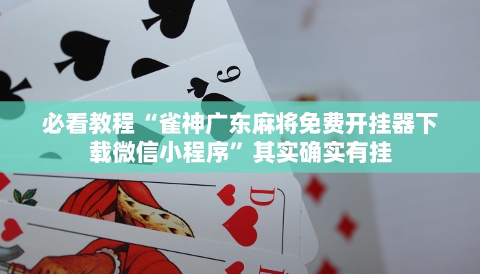 教程辅助!“微乐斗地主小程序必赢神器免费”其实确实有挂