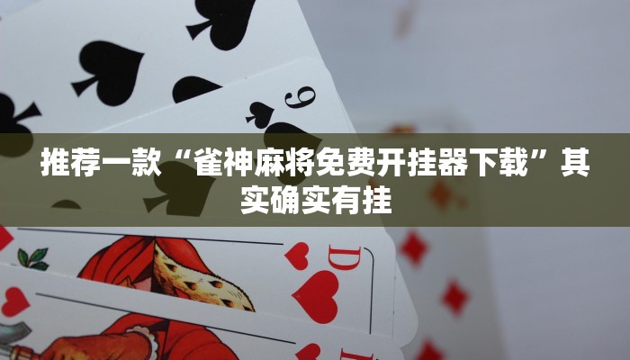 教程辅助!“新九哥大厅透视辅助最新”其实确实有挂