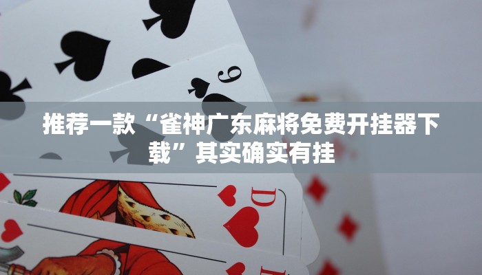 必看教程“微乐龙江麻将怎么提高胜率”其实确实有挂