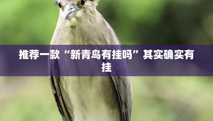 推荐一款“新青鸟有挂吗”其实确实有挂