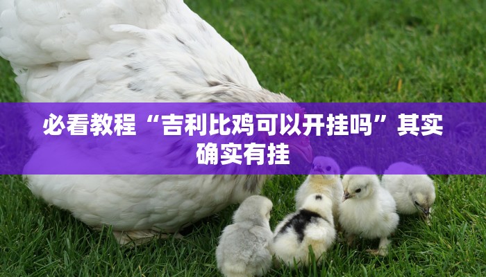 必看教程“wepoker作弊开挂方法--原来有挂”其实确实有挂