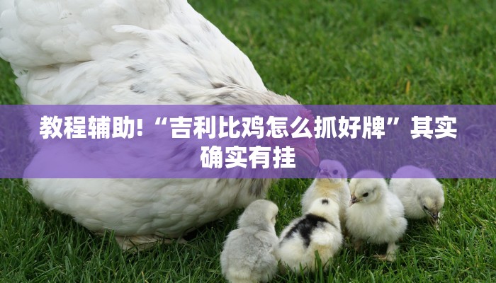 教程辅助!“吉利比鸡怎么抓好牌”其实确实有挂