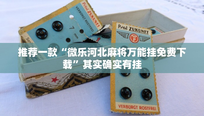 推荐一款“哥哥打大A可以开挂吗”其实确实有挂