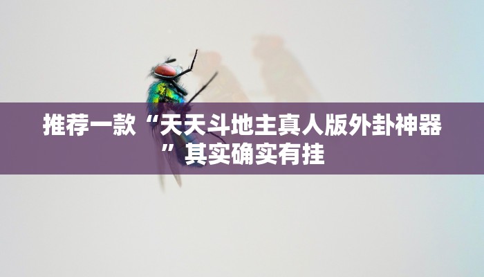推荐一款“天天斗地主真人版外卦神器”其实确实有挂