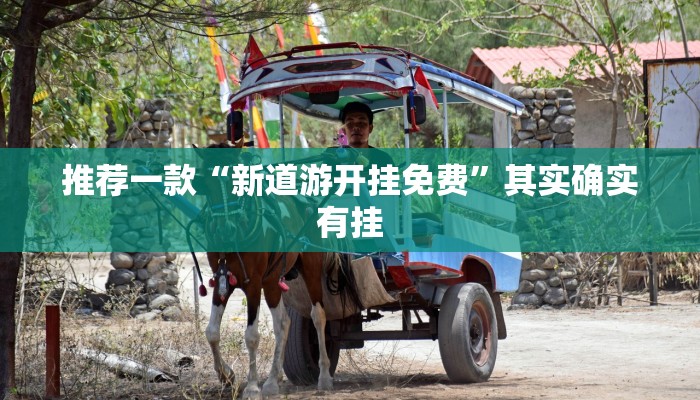 推荐一款“新道游开挂免费”其实确实有挂
