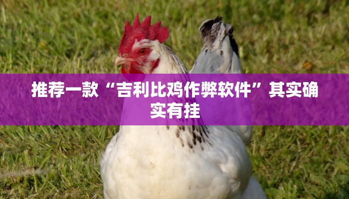 教程辅助!“微乐河北麻将开挂教程”其实确实有挂