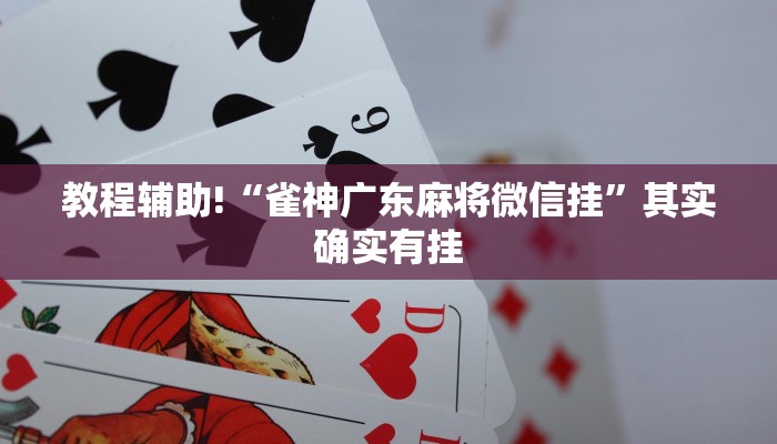 必看教程“tx阿城棋牌麻将开挂辅助神器软件”其实确实有挂