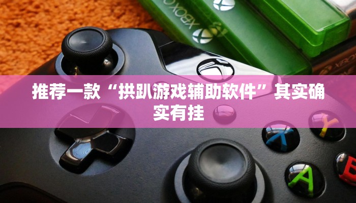 推荐一款“拱趴游戏辅助软件”其实确实有挂