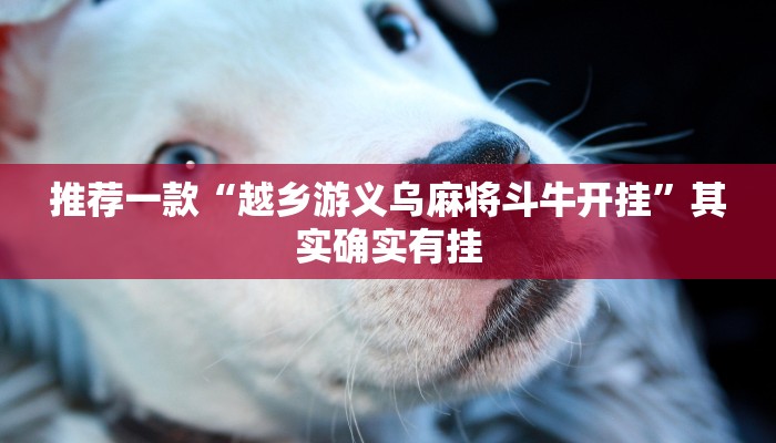 必看教程“微乐安徽麻将小程序怎样免费开挂”其实确实有挂