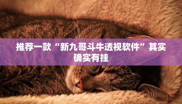 必看教程“新鸿狐有挂吗”其实确实有挂