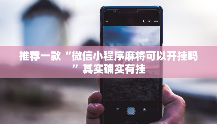 必看教程“微信麻将小程序必赢神器免费”其实确实有挂