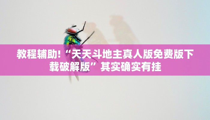 必看教程“微乐麻将怎么开免费的挂”其实确实有挂
