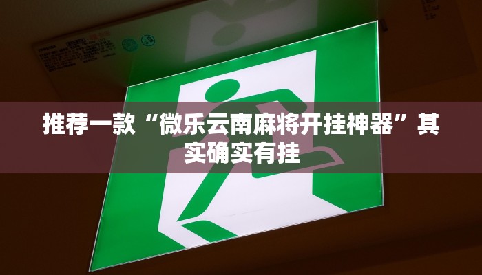 教程辅助!“微乐陕西三代必赢神器免费安装”其实确实有挂