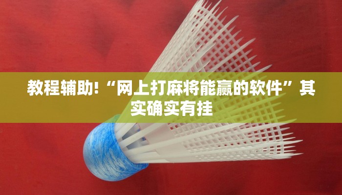 教程辅助!“雀神麻将广东麻将怎么打胜率高”其实确实有挂