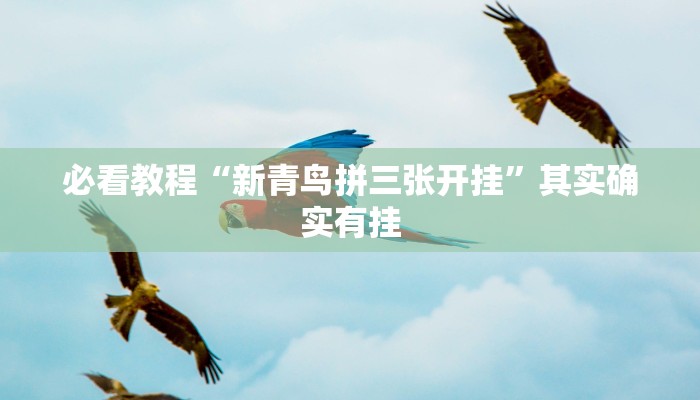 必看教程“天府棋牌可以开挂吗”其实确实有挂