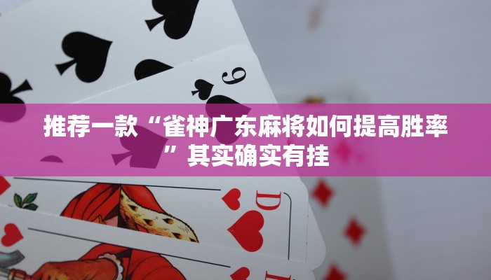 教程辅助!“蜀山四川麻将外卦神器”其实确实有挂