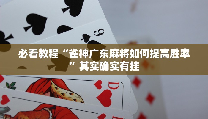 必看教程“雀神广东麻将如何提高胜率”其实确实有挂
