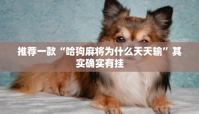 推荐一款“透视手机棋牌软件”其实确实有挂