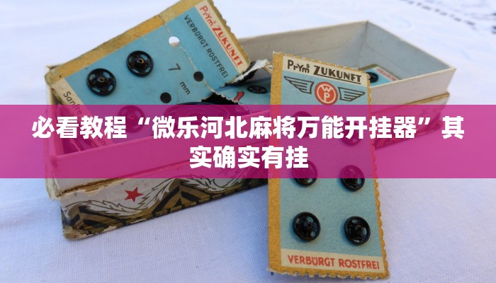 必看教程“微乐河北麻将万能开挂器”其实确实有挂
