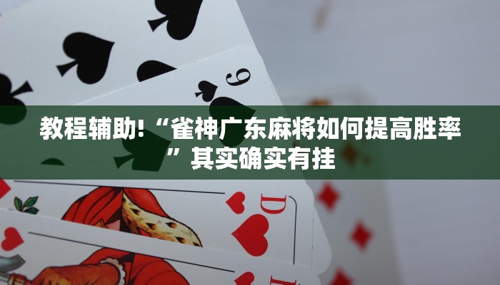 教程辅助!“雀神广东麻将如何提高胜率”其实确实有挂