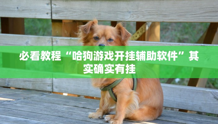 必看教程“越乡游义乌麻将斗牛开挂”其实确实有挂