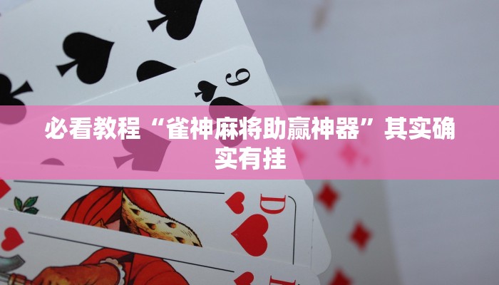 推荐一款“福建大玩家十三水透视挂”其实确实有挂