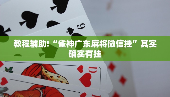 教程辅助!“微乐免费房间是怎么开挂的”其实确实有挂