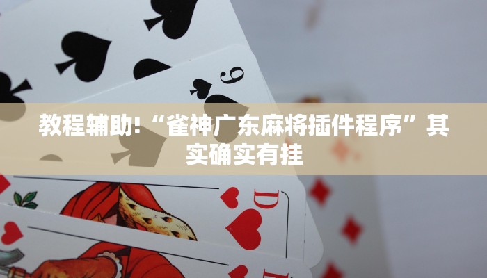 教程辅助!“雀神广东麻将插件程序”其实确实有挂