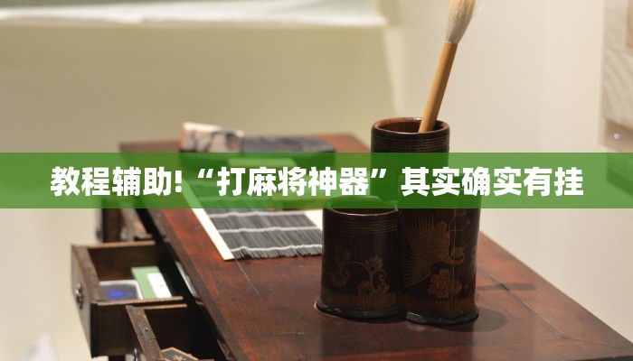 教程辅助!“打麻将神器”其实确实有挂
