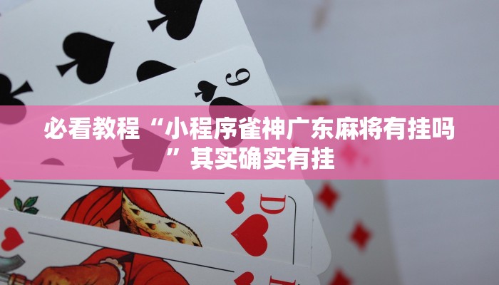 教程辅助!“情怀棋牌作弊看牌器”其实确实有挂