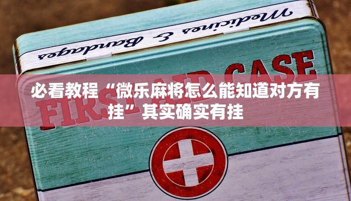 推荐一款“哥哥打大a辅助神器”其实确实有挂
