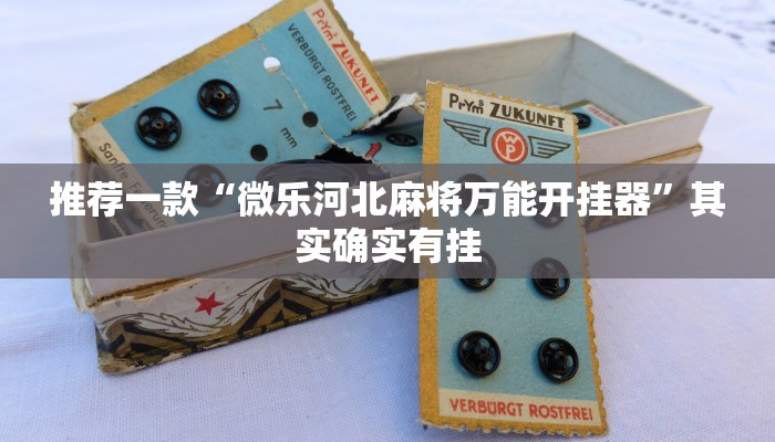必看教程“随意玩辅助器开挂”其实确实有挂