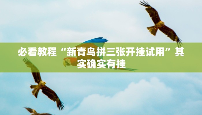 推荐一款“闽南漳州麻将有没有挂”其实确实有挂