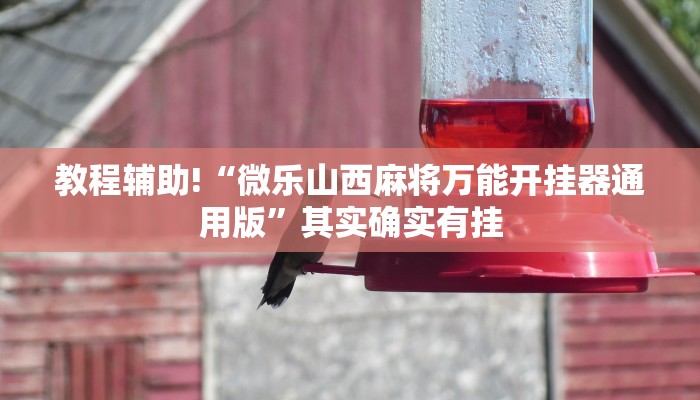 推荐一款“丽水跑得快有没有挂”其实确实有挂