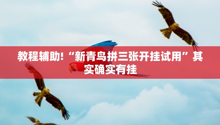 必看教程“福州十八扑开挂方法”其实确实有挂