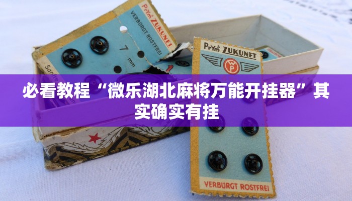 教程辅助!“微信微乐四川麻将免费挂”其实确实有挂