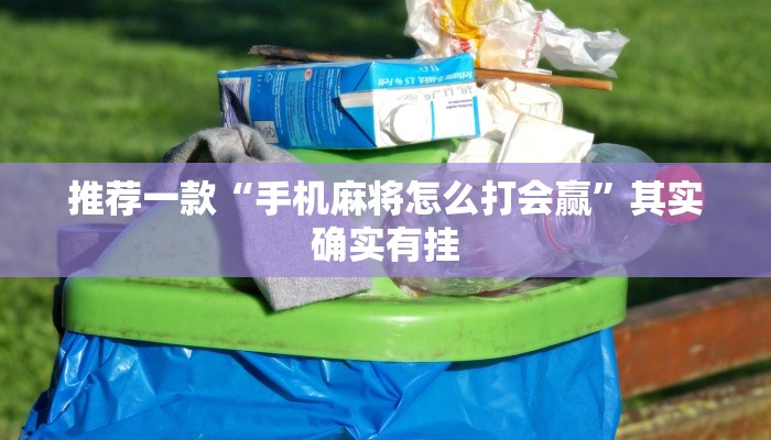 必看教程“微乐河北麻将小程序万能挂免费版”其实确实有挂