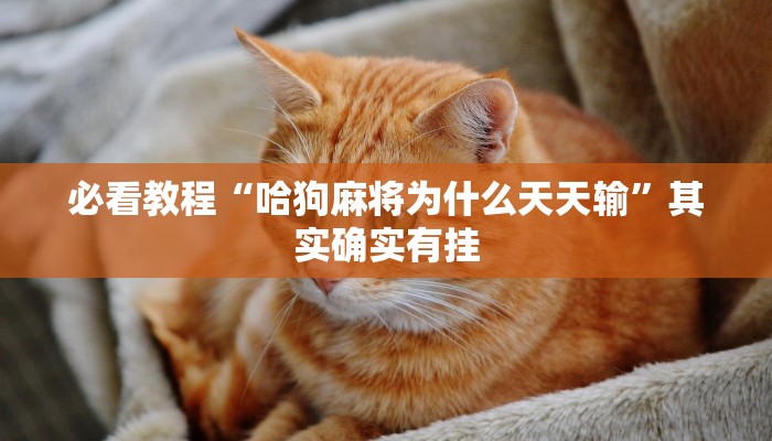 必看教程“微乐麻将开挂下载”其实确实有挂