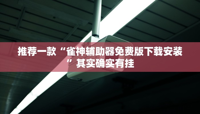 必看教程“中至麻将开挂神器免费”其实确实有挂