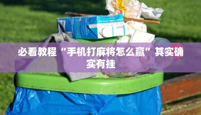 教程辅助!“微乐河北麻将小程序怎样免费开挂”其实确实有挂