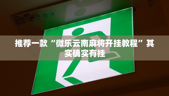 必看教程“微乐自建房一直输”其实确实有挂