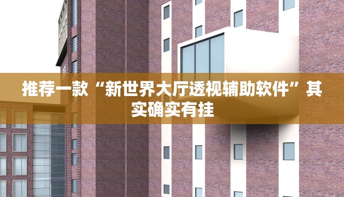 推荐一款“新世界大厅透视辅助软件”其实确实有挂
