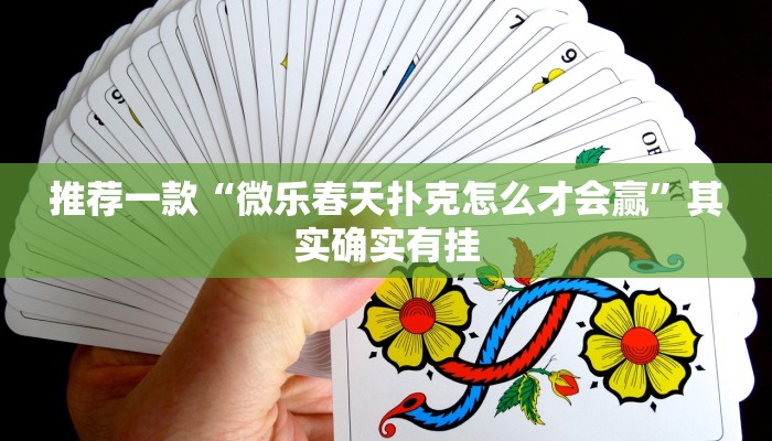 教程辅助!“多乐跑得快开挂神器下载安装”其实确实有挂