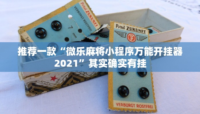 教程辅助!“tx阿城棋牌麻将开挂辅助神器软件”其实确实有挂