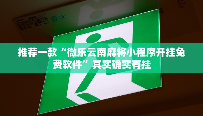 必看教程“小程序微乐麻将万能开挂器”其实确实有挂