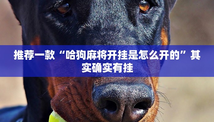 推荐一款“哈狗麻将开挂是怎么开的”其实确实有挂