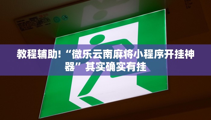 教程辅助!“微乐开挂辅助器免费安装”其实确实有挂