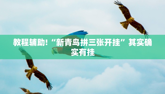 教程辅助!“新青鸟拼三张开挂”其实确实有挂