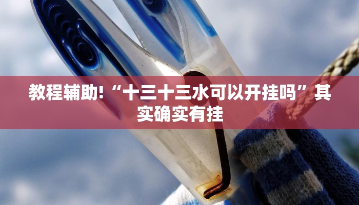 教程辅助!“十三十三水可以开挂吗”其实确实有挂