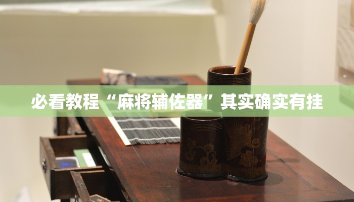 必看教程“麻将辅佐器”其实确实有挂